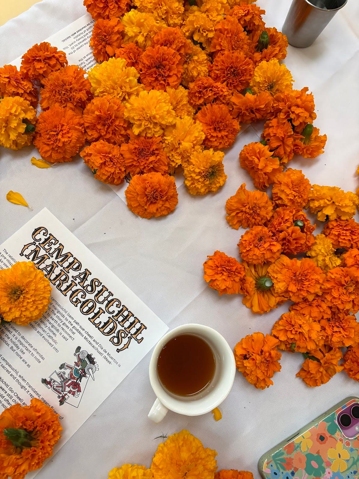 Día de Muertos Marigold Garland Workshop