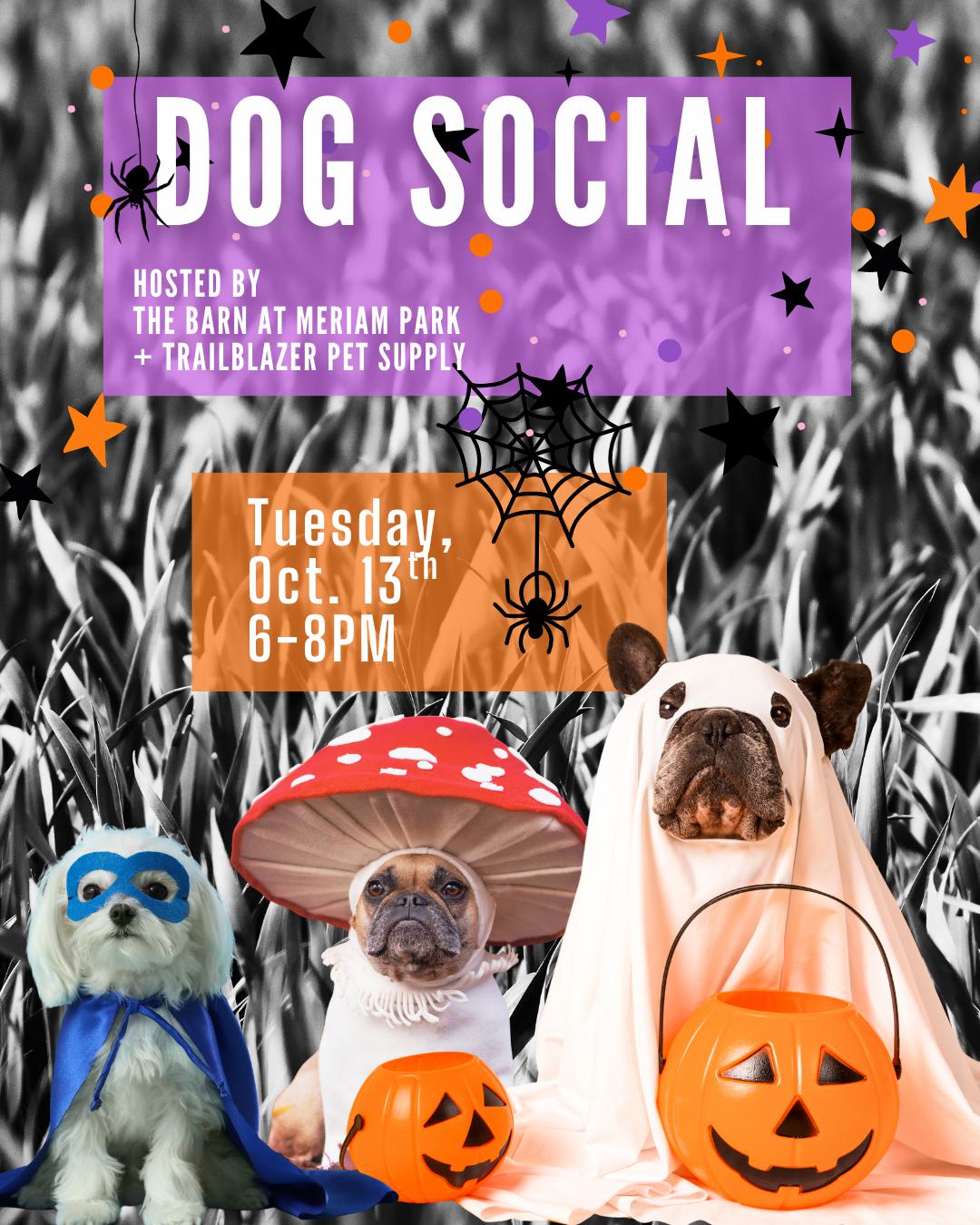 Dog Social at the Barn