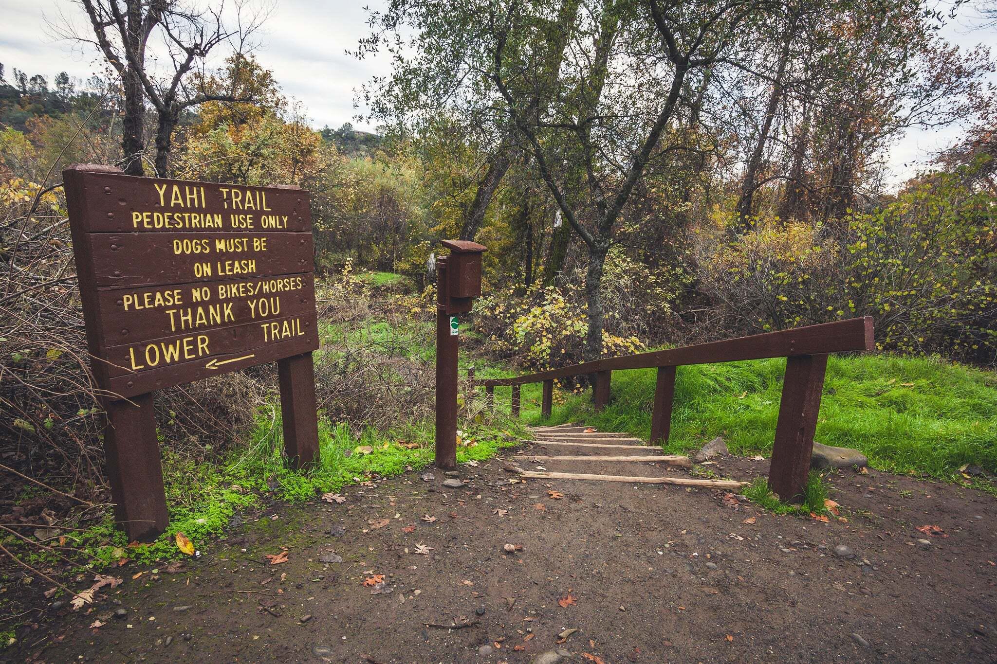 Yahi Trail Work Day with California Native Plant Society