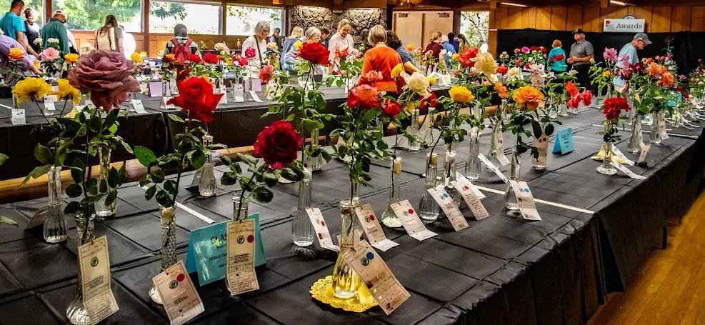 Butte Rose Society Rose Show